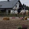 bABIE lATO 2018